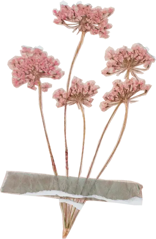 Decoração floral ilustrativa ao lado da descrição da Terapia Cognitivo-Comportamental